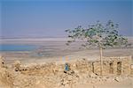 Ruinen in der Festung Masada Israel