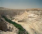 Wüste Negev, Israel