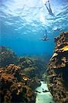 Two Men Freediving, Jamaica