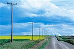 Gravel Country Road, Alberta, Canada