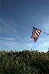 Drapeau américain dans le champ, Far Rockaway, New York, New York, USA