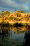 Lagoon, Mungerannie, South Australia, Australia