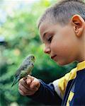 Portrait of Boy With Lovebird