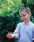 Enfant tenant un bâton d'insectes