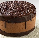 Schokolade-Mousse-Kuchen