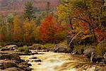 Rapides de la rivière dans la rivière Ausable Forest, parc des Adirondacks, New York State, États-Unis