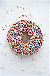 Sprinkle Doughnut