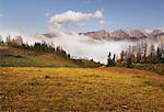 Field and Mountain Range, Alberta, Canada