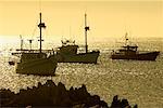 Boats in Currie Harbour, King Island, Tasmania, Australia