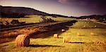 Train Tracks Running Through A Hay Field, Tennessee, USA