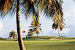 Parcours de golf, Saint-François, Grande-Terre, Guadeloupe, Antilles françaises