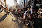 Parked Bicycles, Shinjuku District, Tokyo, Japan