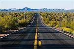 Road Leading to Organ Pipe Cactus National Monument, Arizona, USA