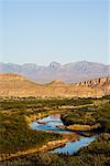 Der Rio Grande und die Chisos Mountains, Big Bend National Park, Texas, Vereinigte Staaten