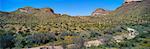 Lavage sec et montagnes d'Ajo, orgue tuyau National Monument, Arizona, USA