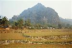 Rice Fields, Banna, Laos