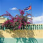 Flagge und Strauch über Wand Varadero, Kuba