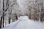 Snow Covered Road, Québec, Canada