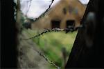 Barbed Wire, Auschwitz Concentration Camp, Oswiecim, Poland