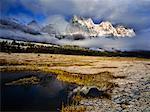 Les remparts, vallée Tonquin, Parc National Jasper, Alberta, Canada