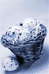 Eggs in Basket With Shredded Stock Pages