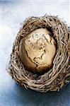 Earth in Nest