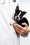 Veterinarian Holding Puppy