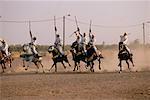 Männer Reiten Pferde, Marokko