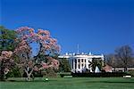 Weißes Haus, Washington D.C., USA