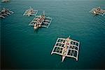 Aerial View of Boats, Philippines