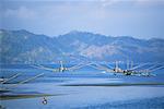 Outrigger Boats, Dapitan, Mindanao, Philippines