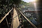 Person Crossing Footbridge, Busuanga, Palawan, Philippines