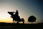 Person Riding Oxen Cart, Pangasinan, Philippines