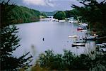 Doubtful Sound, South Island, New Zealand