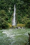 Thunder Creek Falls, col de Haast, Mont Aspiring Parc National, South Island, Nouvelle-Zélande