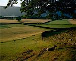 Lake District, Cumbria, Angleterre