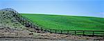 Field and Fence, Palouse, Washington, USA