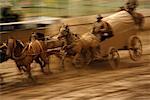 Chuckwagon Race, Calgary Stampede, Calgary, Alberta, Canada