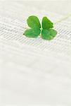Four-Leaf Clover On Financial Pages