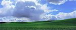 Champ de blé et les nuages d'orage, Palouse, Washington, USA