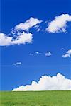 Clouds over Green Field