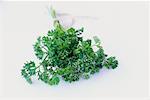 Still Life of Parsley