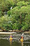 Kayak sur Sydney Harbour, Nouvelle-Galles du Sud, Australie