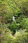 Flat Rock Falls, Garigal National Park, New South Wales, Australia