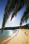 Camp Cove, Sydney, New-South.Wales, Australien