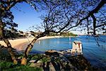 Camp Cove, Sydney, New South Wales, Australie