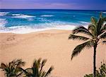 Vagues et Beach, Oahu, Hawaii, USA