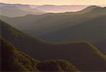 Kanangra murs, Parc National de Kanangra-Boyd, New South Wales, Australie