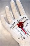 Bloody Ceramic Palmistry Hand