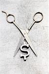 Close-Up of Hair-Cutting Scissors And Dollar Sign